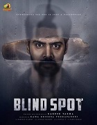 Watch Blind Spot (2025) Online Full Movie Free